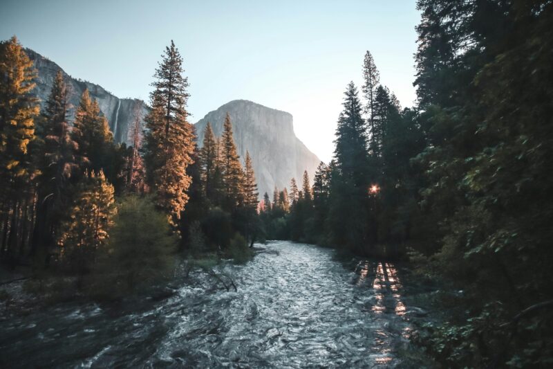 自然の風景