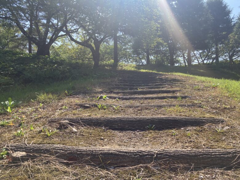 自然の中の階段